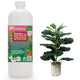 Premium Liquid Fiddle Leaf FIG Plant Fertilizer - 3-1-2 Concentrate for Indoor Plants and Flowers by Gardenera | Organic Plant Food for Fiddle Leaf Fig - 32oz