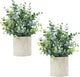 Velener 2 Pcs Small Fake Plants Eucalyptus, Artificial Plants Indoor for Shelf, Potted Eucalyptus Plants for Home/Bathroom/Pottery Barn/Desk/Farmhouse/Coffee Table Decor (Sage Green)