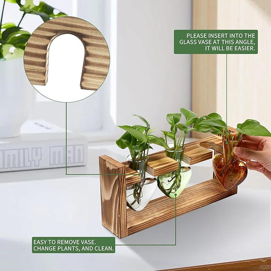 Plant Terrarium Propagation Stations Hydroponics Home Garden Decoration Gift for Women with Wooden Stand Heart Shaped Colored Glass Vase