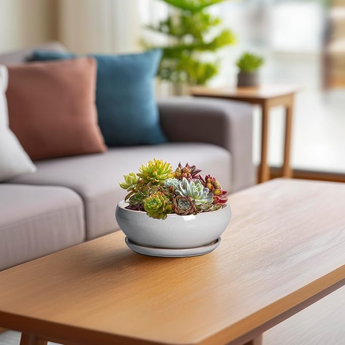 SQOWL Succulent Planters 6 Inch - Ceramic Bonsai Pots with Drainage Hole and Saucer, Shallow Planter for Indoor Plants Outdoor, Round Ceramic Pots for Plants Cactus, Room Decor, Garden Gifts, Gray