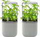 Vego garden Mini Planter Indoor Pots with Trellis Self-Watering Herb Countertop Planter for Climbing Vegetables Flowers Mint Plants Cage 2 Pack- Fog Gray