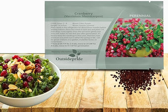 Outsidepride Cranberry Seeds - 250 Pcs. Perennial, Easy to Grow & Low Maintenance, Fruit Seeds for Planting Nutrient-Rich Berries with Purple Blooms for Pollinator Gardens & Container Displays