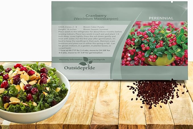 Outsidepride Cranberry Seeds - 500 Pcs. Perennial, Easy to Grow & Low Maintenance, Fruit Seeds for Planting Nutrient-Rich Berries with Purple Blooms for Pollinator Gardens & Container Displays