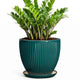 Wliror 10 Inch Flower Pot, Ceramic Planters with Saucer, Blackish Green