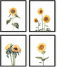 HAUS AND HUES Sunflower Set Collage 16x20