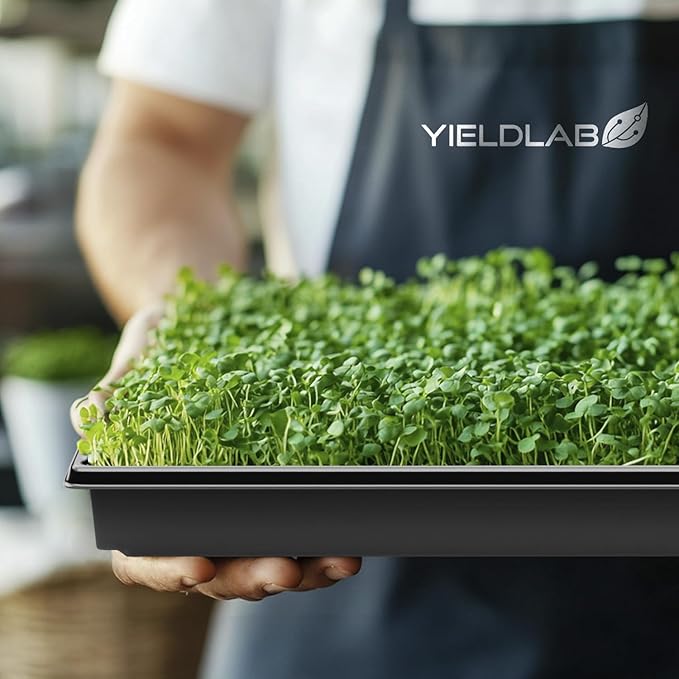 Yield Lab 10x20 Inch Black Plastic 100 Pack Plant Propagation Tray – Growing Trays for Garden, Planting, Seedling, Soil & Hydroponic Horticulture - Microgreen Trays Grow Plants - No Drain Holes
