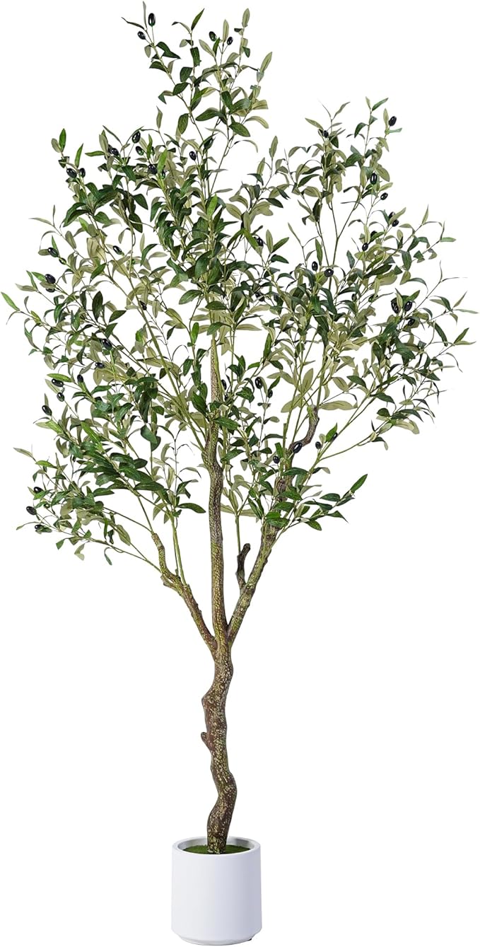 Jocoevol Artificial Olive Tree 6FT, Indoor Fake Silk Plant with Realistic Trunk, Leaves, Fruits and White Planter, Faux Potted Tree for Home Decor and Housewarming Gift, 1 Pack