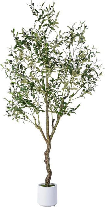 Jocoevol Artificial Olive Tree 6FT, Indoor Fake Silk Plant with Realistic Trunk, Leaves, Fruits and White Planter, Faux Potted Tree for Home Decor and Housewarming Gift, 1 Pack