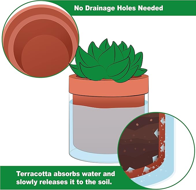 Phoenix Vine 4 Inch Self Watering Planter Pot, Terracotta Clay Pot with Glass Reservoir for Indoor Plants, Herbs, Flowers, Set of 3, 52-A-E-3