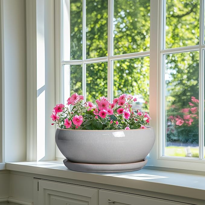 SQOWL 12 Inch Bonsai Pots - Large Ceramic Succulent Pots with Drainage Hole and Saucer, Shallow Planter for Indoor Outdoor Plants Flowers, Round Planter Bowl, Garden Decor, Gifts for Women, Gray
