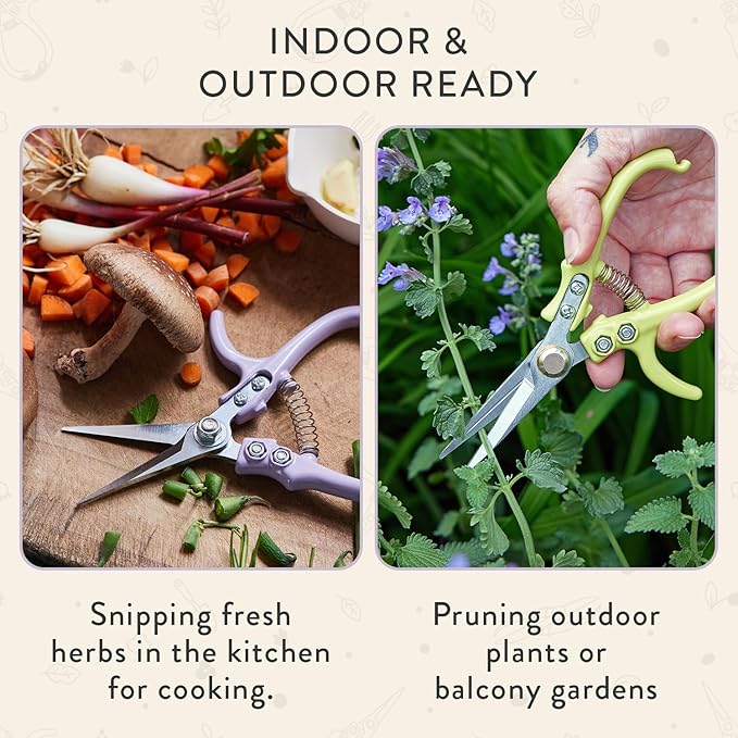 Modern Sprout Pruning Shears - Herb Snipping Scissors- Lightweight Gardening Tools W/Easy Lock - Flower Cutter Garden Shears - Carbon Steel Blade + Reusable Holster (Lavender, 1-Pack)