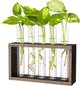 Propagation Station, Plants Terrarium, Plants Lover Gifts for Women,Plant Cutting Holder Home décor,Gifts for Women,House Warming New Home-5 Tubes-Brown