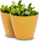 Headwind Charlevoix Planters– 10" 2 Pack Plastic Plant Pot in Harvest Yellow, Indoor & Outdoor Pots for Plants with Drillable Drainage Hole, Decorative Plant Pot, Flower Pots Outdoor for Garden