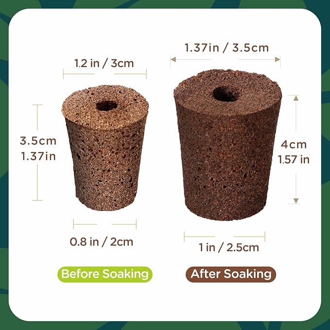 70 Pack Grow Sponges, Starter Plug for Seeds or Cuttings, General Hydroponics Rapid Rooter Plugs for Seedling Herbs Lettuce Vegetable Flower, Great for Soil or Hydroponics Growing System (Cylinder)