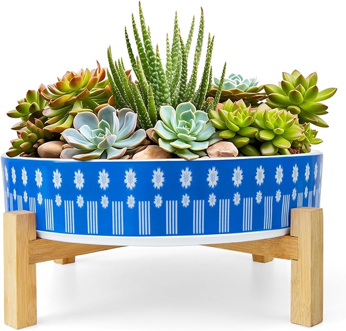 ARTKETTY Succulent Pots - 11 Inch Large Plant Pots Ceramic Bonsai Pots with Drainage Stand, Shallow Succulent Planters for Indoor Plants Decorative Flower Cactus Planter Bowl