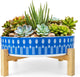 ARTKETTY Succulent Pots - 11 Inch Large Plant Pots Ceramic Bonsai Pots with Drainage Stand, Shallow Succulent Planters for Indoor Plants Decorative Flower Cactus Planter Bowl