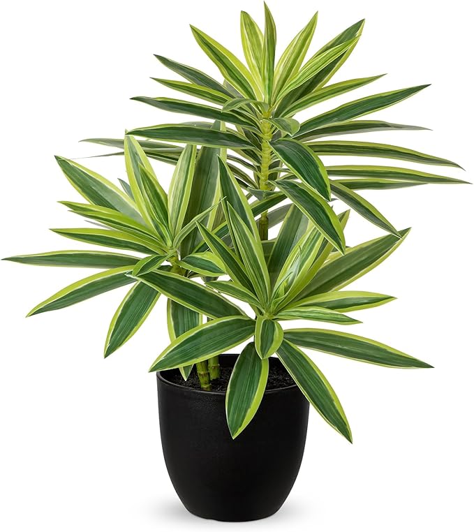 Faux Plants Dracaena Artificial Plant Realistic Green and Yellow 16.1" Fake Plants in Pot Small Indoor Plants Fake Potted Plants Artificial Decor for Home Living Room Bathroom Office House Table