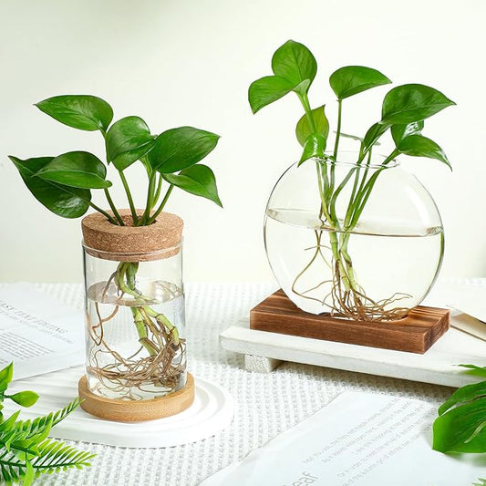 Layhit 4 Pcs Plants Propagation Stations vases Glass Planters with Wooden Lid and Bamboo Stand for Hydroponic Plants Gardening Gifts for Women Mom Home Office Tabletop Decoration(Novelty Style)