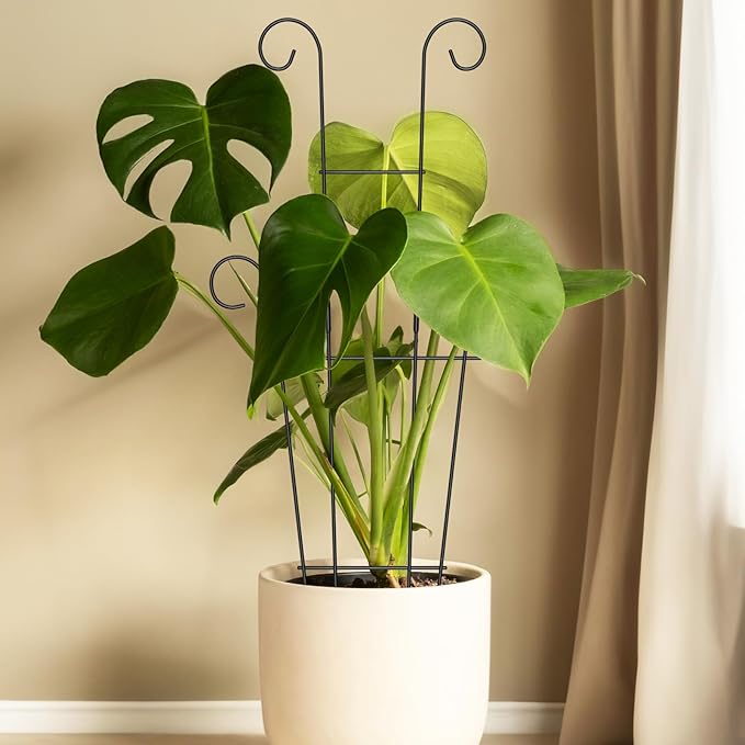 2 Pack 23.6'' Taller Plant Trellis for Climbing Plants Indoors & Outdoor, Garden Metal Trellis Plant Support for Potted Plants, Houseplants, Flowers Vine, Ivy, Pothos, Monstera