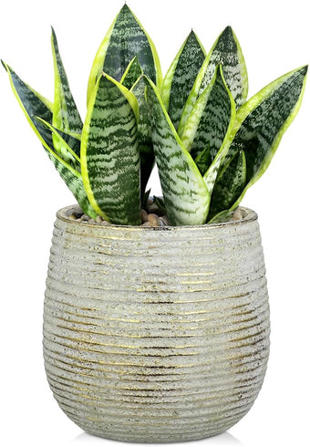 DILATATA Ceramic Pots with Drainage Hole 6.7 Inch Flower Plant Pot Indoor Round Planter Pot for Succulents, Cacti, Cactus, Snake Plants Home Decor - Gold