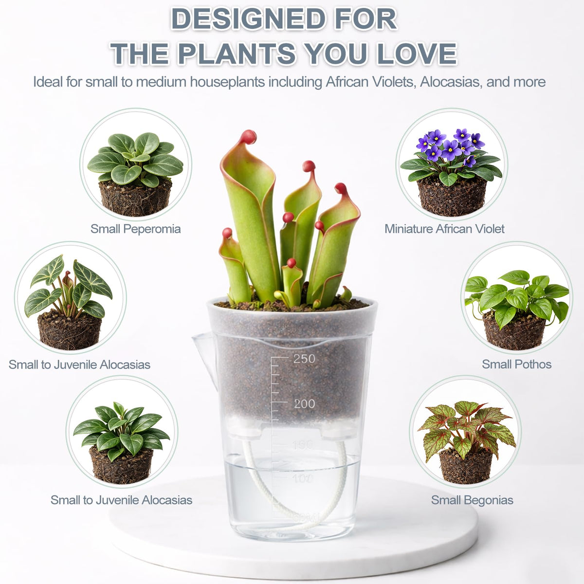 12 Pack 2.5" Small Self Watering Pots for Indoor Plants, Clear Mini Planter