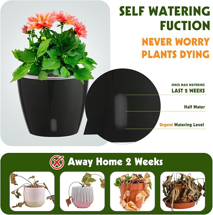 KvyusFlourish Self Watering Pots for Indoor Plants, 6-Pack 5'' Self Watering Planter with Drainage Holes, Small African Violet Pots with Water Indicator, Clear Wick Orchid Pot, Black