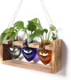 Plant Terrarium Propagation Stations Hydroponics Home Garden Decoration Gift for Women with Wooden Stand Heart Shaped Colored Glass Vase