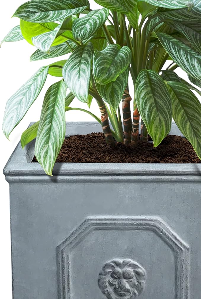 Kante Square Lion Head Concrete Planter Set of 2, Classic English Style Plant Pot with Drainage Hole and Rubber Plug for Indoor Outdoor, 10.2"x10.2"x10.2" and 12.6"x12.6"x12.6" Antique Gray