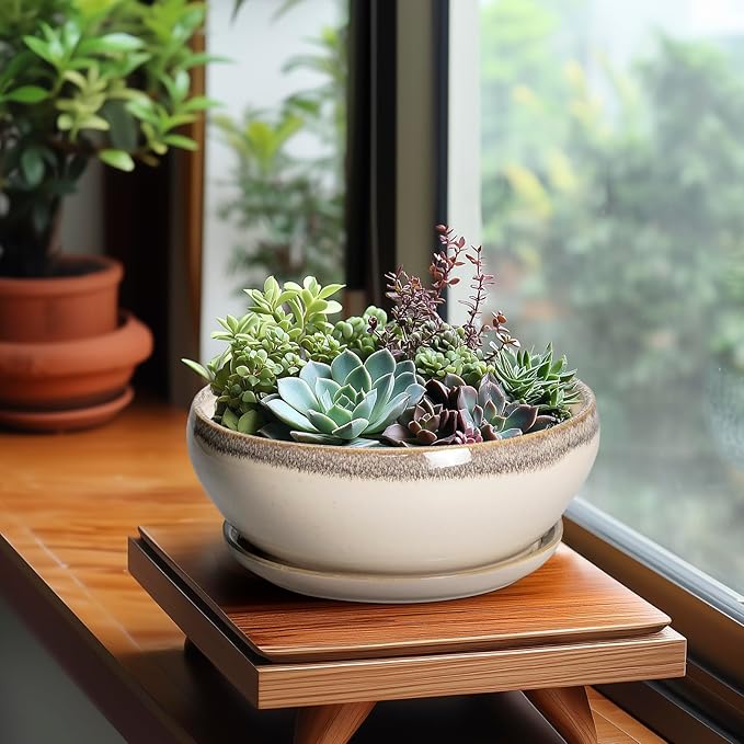 SQOWL Succulent Pots 8 Inch - Ceramic Bonsai Pots for Indoor Plants, Round Shallow Plant Pot with Drainage Hole and Saucer, Bowl Planter Outdoor, Patio Decor, Plant Lover Gifts, Beige