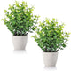 FAVOWREATH 2 Pack Fake Plants Ceramic Mini Artificial Greenery Potted Plants for Home Decor Office Decor Room Decor Farmhouse Decor Indoor Table Bathroom Decor
