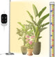 Standing Grow Light with Auto-Timer, 36W Vertical Grow Lights for Indoor Plants,3 Light Modes,268 LEDs Detachable Full Spectrum Plant Lights for Wide Area Coverage in Indoor Plants (60IN-Silver)