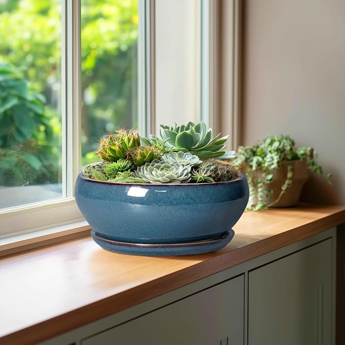 SQOWL Bonsai Pots 10 Inch - Large Ceramic Succulent Pots, Shallow Planter with Drainage Hole and Saucer, Round Planter for Indoor Outdoor, Bowl Planters, Patio Decor, Gifts for Plant Lover, Blue