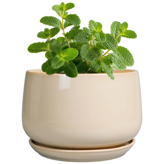 G EPGardening 4 inch Plant Pots - Ceramic Planter with Drainage Hole & Saucer, Small Plant Pots for Indoor Outdoor, Round Succulent Pot, Modern Decorative Flower Pot, Desk Decor, Garden Gifts, Beige