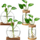 Layhit 4 Pcs Plants Propagation Stations vases Glass Planters with Wooden Lid and Bamboo Stand for Hydroponic Plants Gardening Gifts for Women Mom Home Office Tabletop Decoration(Novelty Style)