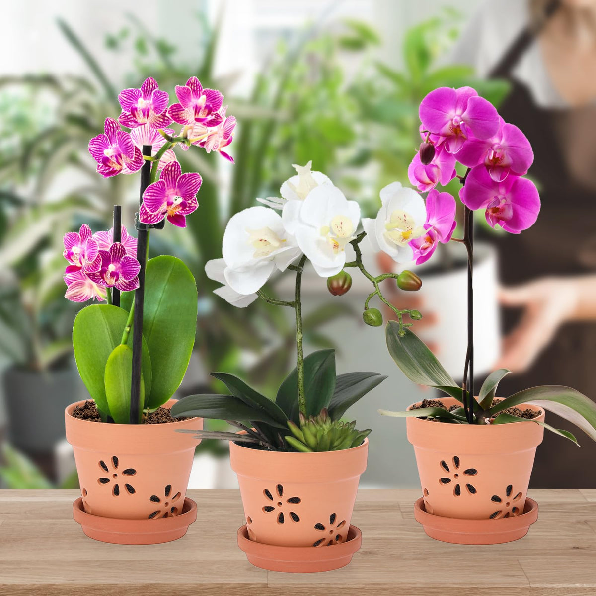 JUXYES Small 4" Hollowed Out Terracotta Orchid Pots with Holes and Saucer