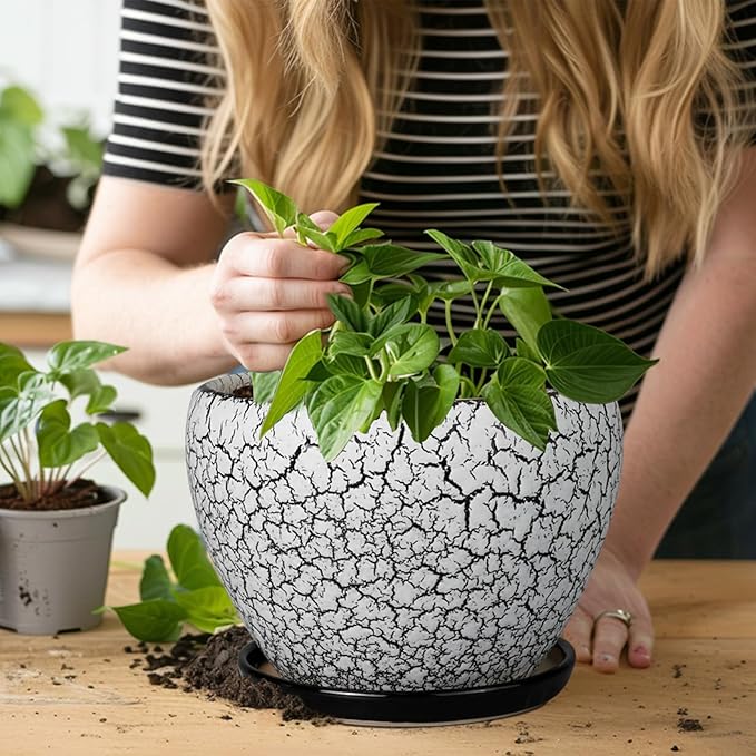 Ceramic Plant Pot 8 Inch - Ceramic Planter for Indoor Plants, Round Flower Pot with Drainage Hole and Saucer, Glaze White and Black