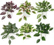 Hollyone Fake Plants 6 Pack Artificial Plants Indoor Faux Plant Small Fake Potted Plant for Home Aesthetic Living Room Bathroom Desk Shelf Office Decor