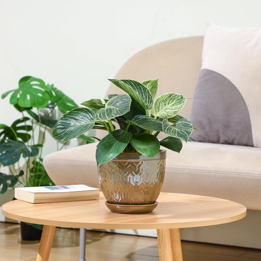 Sureasy 6.5 Inch Ceramic Plant Pots Set of 2, Green Embossed