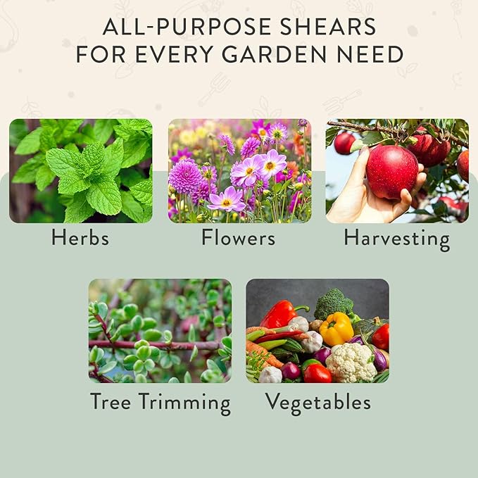Modern Sprout Pruning Shears - Herb Snipping Scissors- Lightweight Gardening Tools W/Easy Lock - Flower Cutter Garden Shears - Carbon Steel Blade + Reusable Holster (Sage, 1-Pack)