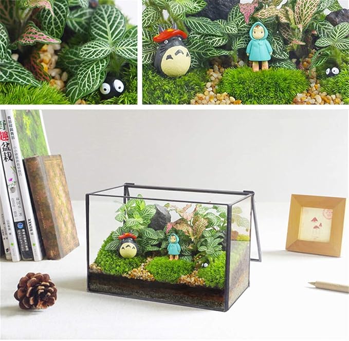 Glass Plants Terrarium with Lid,Rectangle Black Pot Box for Indoor Plants,Geometric Clear Containers for Moss and Succulent,Tabletop Decor DIY Gift,8.3”L x 4.7”W x 5.5”H