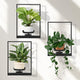 Wall Planters for Indoor Plants, Window Plant Shelves Set of 3, Wall Plant Stand to Hold Large Pots - Premium Metal Hanging Plant Holder for Indoor Outdoor Decor