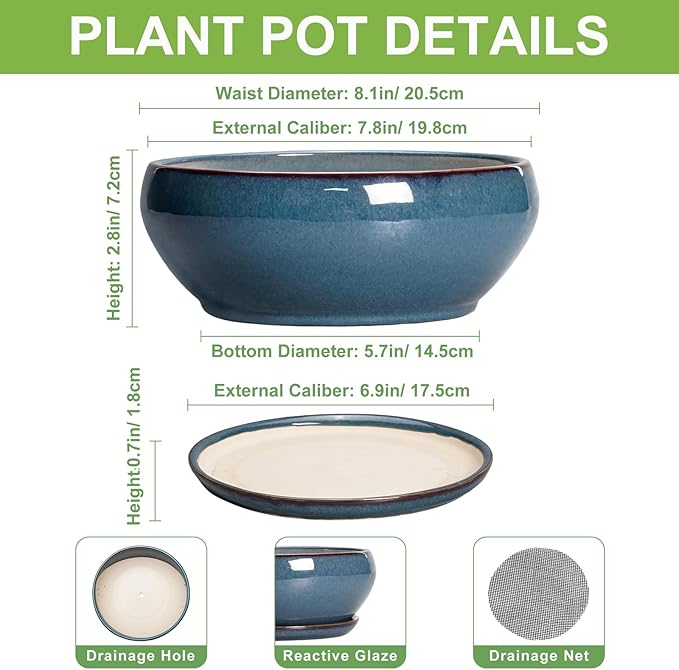 SQOWL Bonsai Pots - 8 Inch Ceramic Succulent Pots with Drainage Hole and Saucer, Round Shallow Planter for Indoor Outdoor Plants Flowers, Ceramic Planter Bowl, Room Decor, Gardening Gifts, Blue