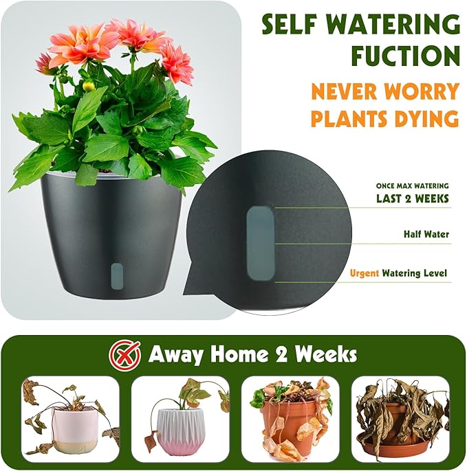 KvyusFlourish Self Watering Pots for Indoor Plants, 6-Pack 6.7'' Self Watering Planter with Drainage Holes, Small African Violet Pots with Water Indicator, Clear Wick Orchid Pot, Grey Gold