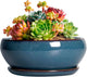 SQOWL Succulent Pots - 6 Inch Ceramic Bonsai Pots, Shallow Planter with Drainage Hole and Saucer, Modern Round Planter for Indoor Plants Outdoor, Flower Cactus Pot, Home Decor, Plant Lover Gift, Blue