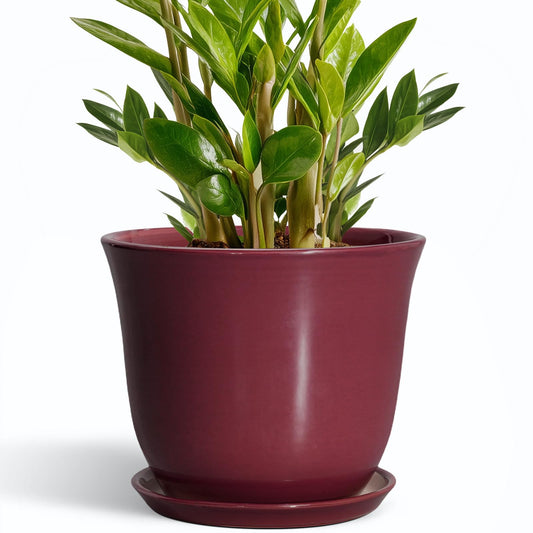 SUNPOTFOR Ceramic Plant Pots - 10 Inch Plant Pot with Drainage Hole and Saucer, Round Planter for Indoor Outdoor, Modern Decorative Large Flower Pots, Home Room Garden Decor, Plants Lovers Gifts, Red