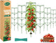 [Upgraded] ZeeDix 65 Inch Tall Tomato Cages for Garden, 6 Pack Large Plant Trellis Support Stakes for Climbing Plants, Heavy Duty Adjustable Tomatoes Cage for Pots, Raised Garden Bed Outdoor Supplies