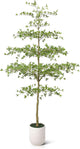 10FT Artificial Black Olive Tree Indoor with White Planter – Tall Luxury Faux Olive Tree, Mediterranean Architectural Statement Decor for Living Room & Office,VN232