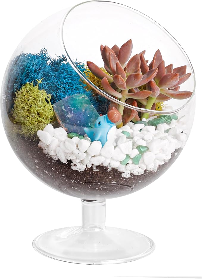 Creations by Nathalie 6" DIY Chalice Terrarium Kit with Live Plants - Build Your Own Glass Terrarium for Adults & Kids with Moss, Crystals, Soil, Tools & Figurine - Mini Ecosystem - Made in The USA