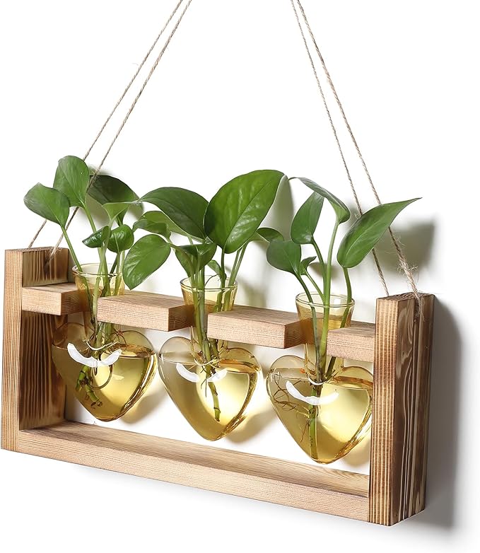 Plant Terrarium Propagation Stations Hydroponics Home Garden Decoration Gift for Women with Wooden Stand Heart Shaped Colored Glass Vase
