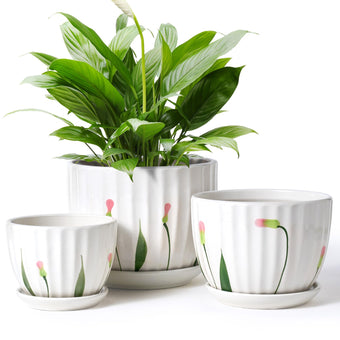 STHIE 4/5/6 Inches White Ceramic Plant Pots with Drainage Holes and Saucer